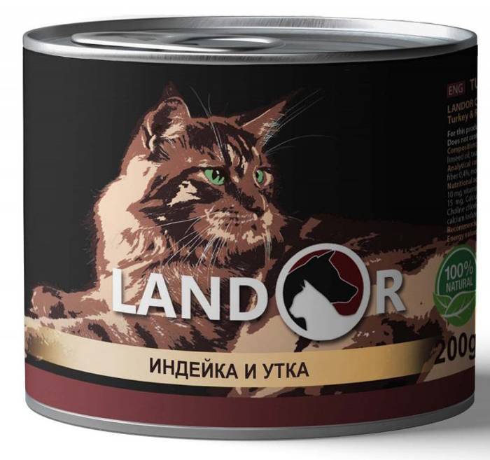 Купить Кошку В Новосибирске С Фото